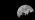 Moonrise